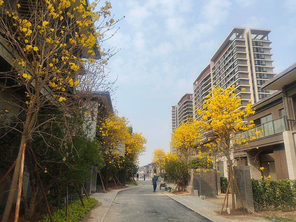 纯水岸花园景观住宅区工程