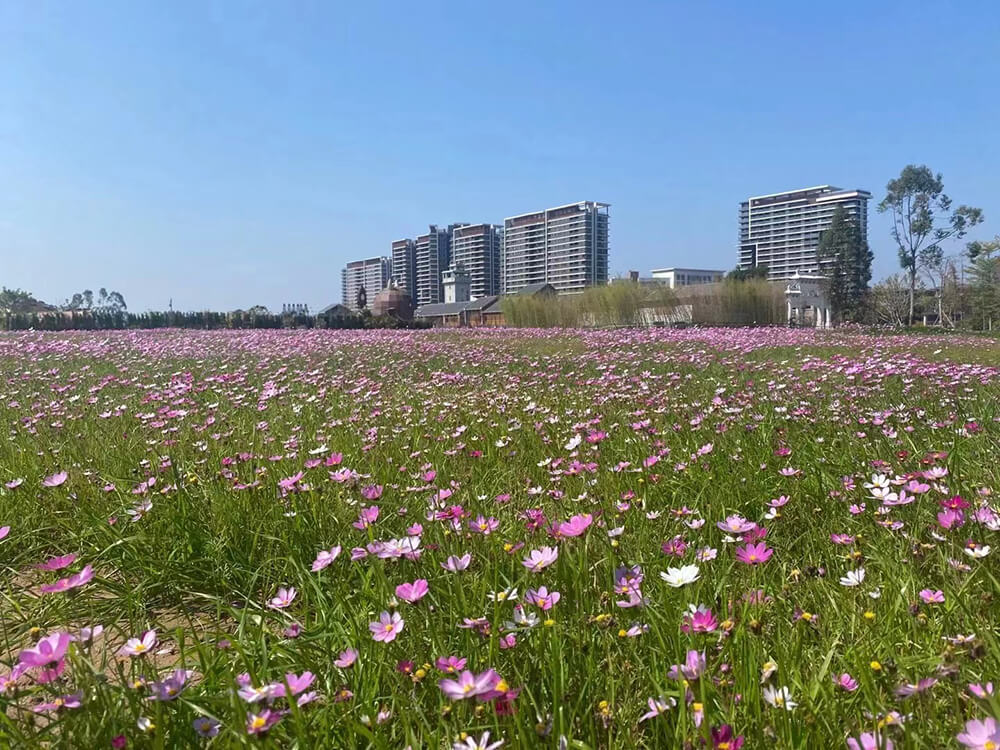 纯水岸项目及欢乐水乡景观提升工程